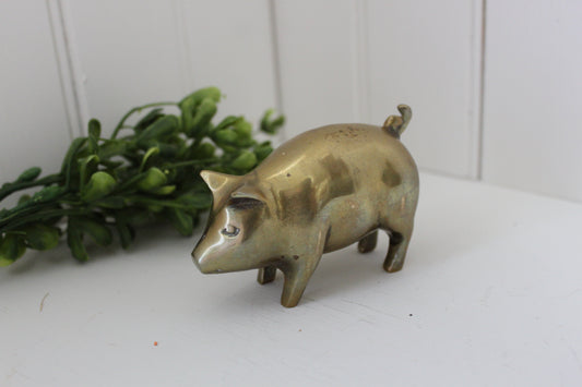 Brass Pig